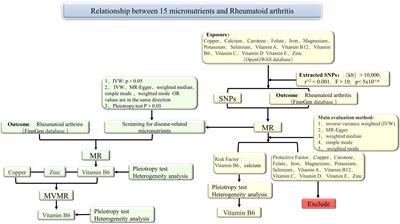 Association between vitamin B6 levels and rheumatoid arthritis: a two-sample Mendelian randomization study